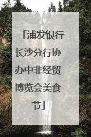 浦发银行长沙分行协办中非经贸博览会美食节