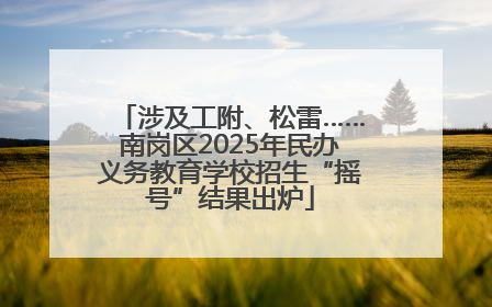 涉及工附、松雷……南岗区2025年民办义务教育学校招生“摇号”结果出炉
