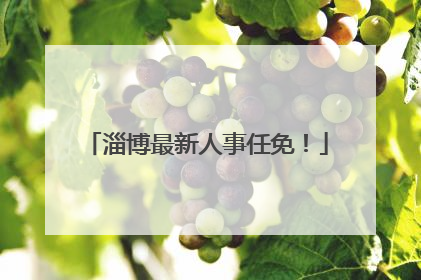 淄博最新人事任免！