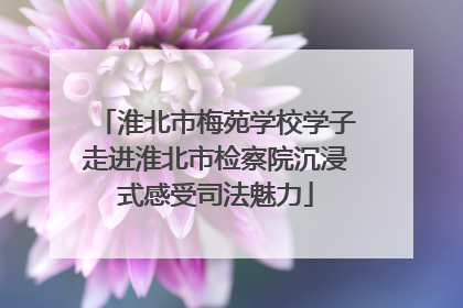 淮北市梅苑学校学子走进淮北市检察院沉浸式感受司法魅力