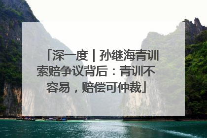 深一度｜孙继海青训索赔争议背后：青训不容易，赔偿可仲裁