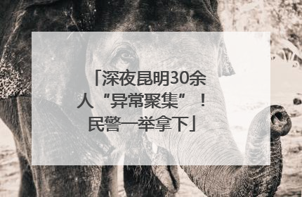 深夜昆明30余人“异常聚集”！民警一举拿下