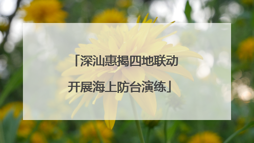 深汕惠揭四地联动开展海上防台演练