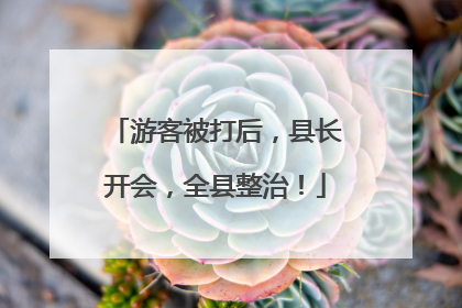 游客被打后，县长开会，全县整治！