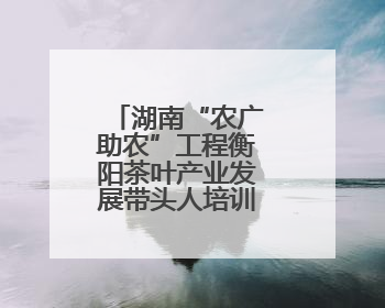 湖南“农广助农”工程衡阳茶叶产业发展带头人培训班圆满落幕