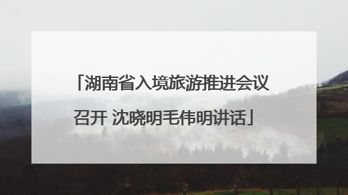 湖南省入境旅游推进会议召开 沈晓明毛伟明讲话