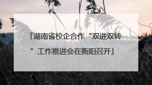 湖南省校企合作“双进双转”工作推进会在衡阳召开