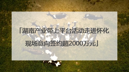 湖南产业带上平台活动走进怀化 现场意向签约超2000万元