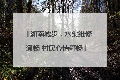湖南城步：水渠维修通畅 村民心情舒畅