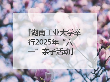 湖南工业大学举行2025年“六一”亲子活动