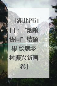 湖北丹江口：“烟粮协同”结硕果 绘就乡村振兴新画卷