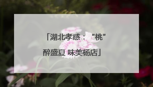 湖北孝感：“桃”醉盛夏 味美杨店