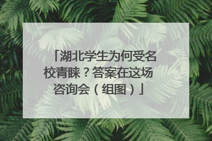 湖北学生为何受名校青睐？答案在这场咨询会（组图）
