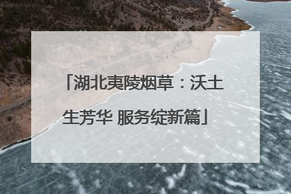 湖北夷陵烟草：沃土生芳华 服务绽新篇