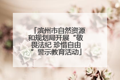 滨州市自然资源和规划局开展“敬畏法纪 珍惜自由”警示教育活动