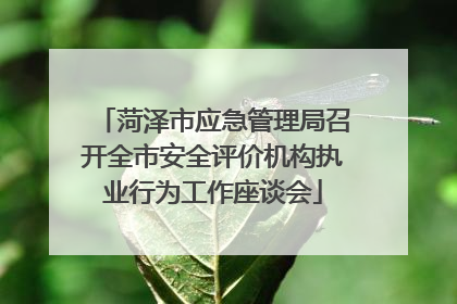 菏泽市应急管理局召开全市安全评价机构执业行为工作座谈会