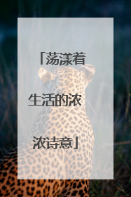荡漾着生活的浓浓诗意