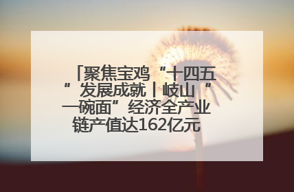 聚焦宝鸡“十四五”发展成就丨岐山“一碗面”经济全产业链产值达162亿元 入选全国典型县