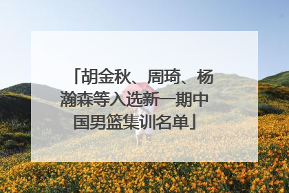 胡金秋、周琦、杨瀚森等入选新一期中国男篮集训名单