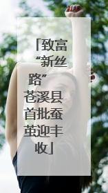 致富“新丝路” 苍溪县首批蚕茧迎丰收