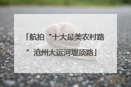 航拍“十大最美农村路”沧州大运河堤顶路