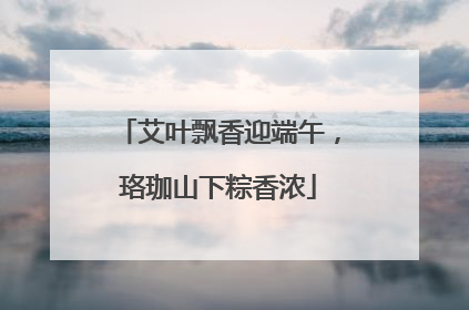 艾叶飘香迎端午，珞珈山下粽香浓
