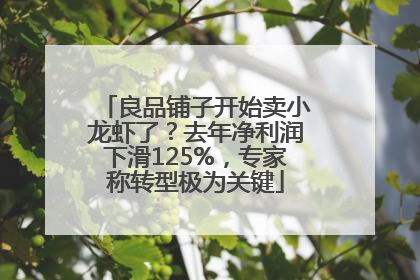 良品铺子开始卖小龙虾了？去年净利润下滑125%，专家称转型极为关键