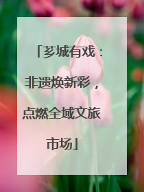 芗城有戏：非遗焕新彩，点燃全域文旅市场