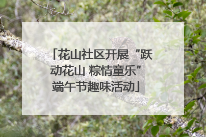 花山社区开展“跃动花山 粽情童乐”端午节趣味活动