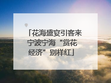花海盛宴引客来 宁波宁海“赏花经济”别样红