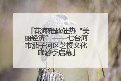 花海雅趣催热“美丽经济”——七台河市茄子河区芝樱文化旅游季启幕