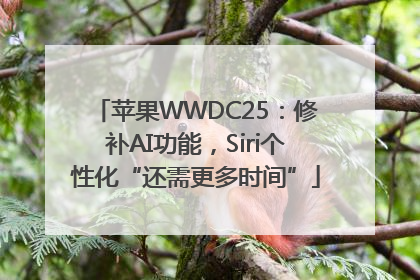 苹果WWDC25：修补AI功能，Siri个性化“还需更多时间”