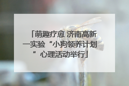 萌趣疗愈 济南高新一实验“小狗领养计划”心理活动举行
