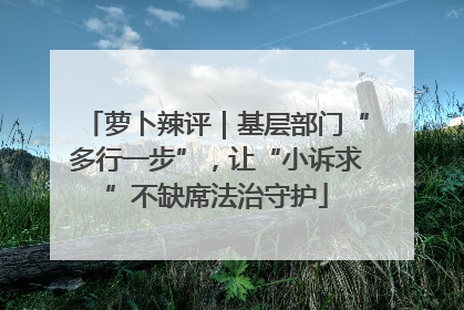 萝卜辣评｜基层部门“多行一步”，让“小诉求”不缺席法治守护