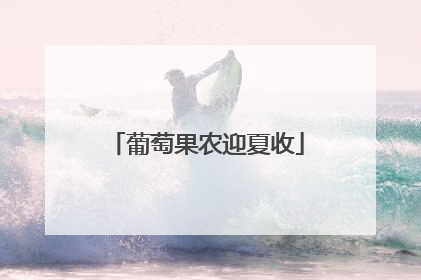 葡萄果农迎夏收