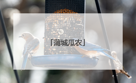 蒲城瓜农