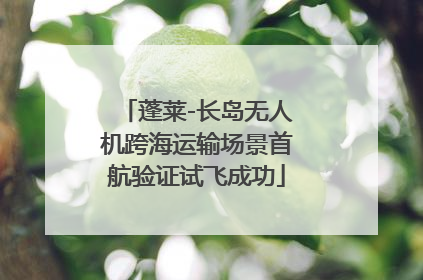 蓬莱-长岛无人机跨海运输场景首航验证试飞成功