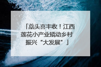藠头喜丰收！江西莲花小产业撬动乡村振兴“大发展”