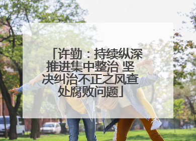 许勤：持续纵深推进集中整治 坚决纠治不正之风查处腐败问题