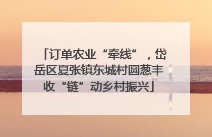 订单农业“牵线”，岱岳区夏张镇东城村圆葱丰收“链”动乡村振兴