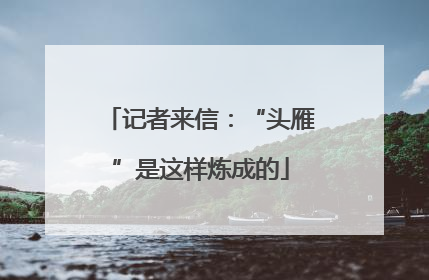 记者来信：“头雁”是这样炼成的