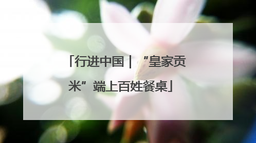 行进中国｜“皇家贡米”端上百姓餐桌