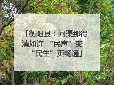 衡阳县：问渠那得清如许 “民声”变“民生”更畅通