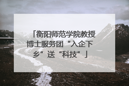 衡阳师范学院教授博士服务团“入企下乡”送“科技”