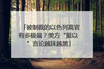被制裁的以色列高官有多极端？美方“挺以”言论越抹越黑