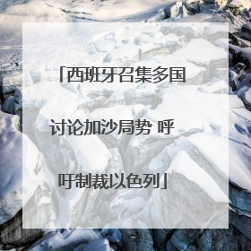 西班牙召集多国讨论加沙局势 呼吁制裁以色列