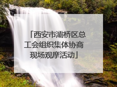 西安市灞桥区总工会组织集体协商现场观摩活动