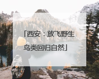 西安：放飞野生鸟类回归自然