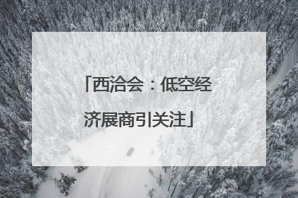 西洽会：低空经济展商引关注