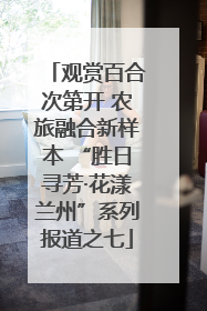 观赏百合次第开 农旅融合新样本 “胜日寻芳·花漾兰州”系列报道之七